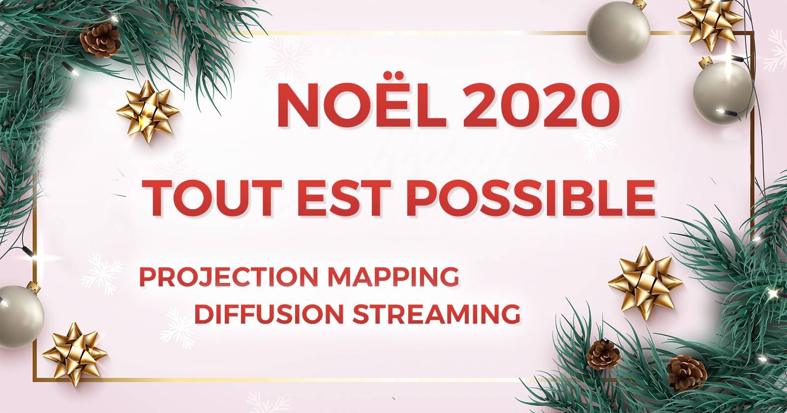 noel 2020 arbre de noel en France