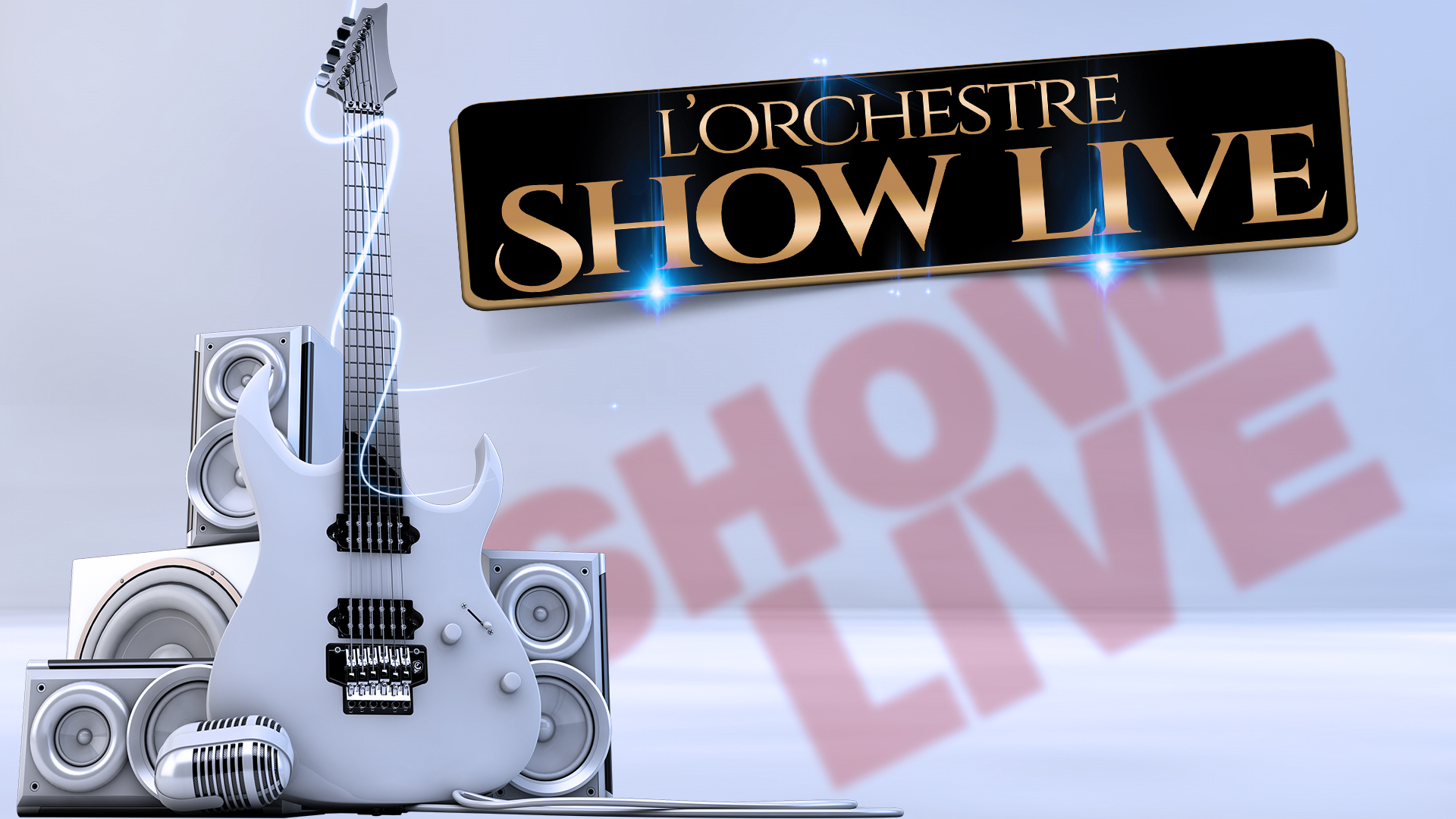 Prestation Show Live : concert avec Orchestre, France